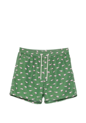 MC2 Saint Barth Shark on Shark print swim shorts - Green