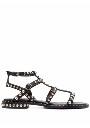Ash Precious stud embellished sandals - Black