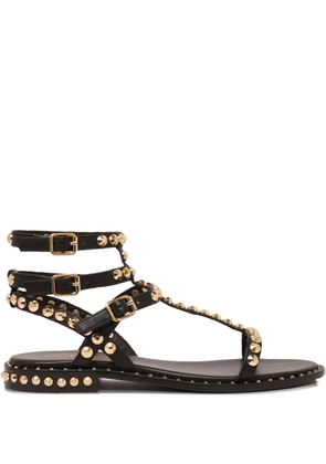 Ash Play sandals - Black