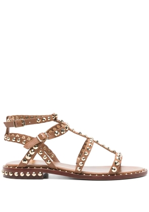 Ash Precious sandals - Brown