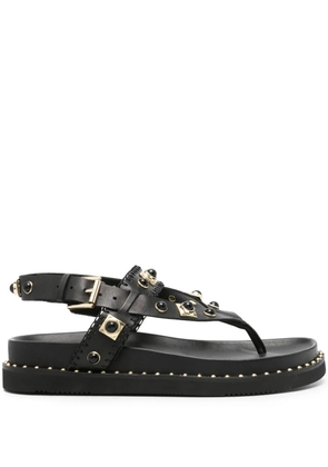 Ash Uteca stud-embellished leather sandals - Black