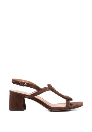 Bibi Lou block-heel sandals - Brown
