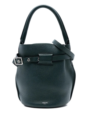Celine Pre-Owned 2018-2025 Nano Leather Big Bucket Bag satchel - Green