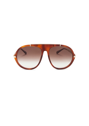 Chloe Aly Sunglasses in Rust.