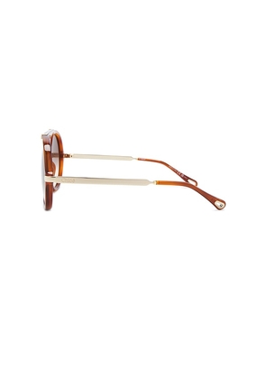 Chloe Aly Sunglasses in Brown.