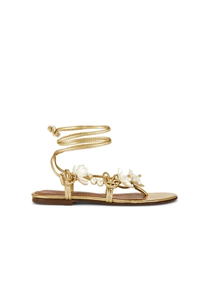 Alameda Turquesa Isla Perl? Sandal in Metallic Gold. Size 36. Also in 37, 38, 39, 40.
