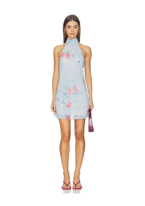 Bella Venice The Piper Dress in Baby Blue. Size L. Also in M, S, XS.