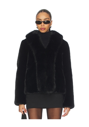 Generation Love Dasha Faux Fur Jacket in Black. Size M. Also in L.