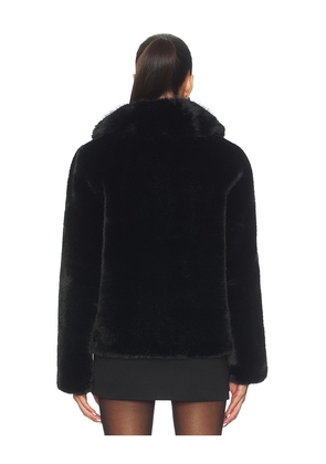Generation Love Dasha Faux Fur Jacket in Black. Size M. Also in L.