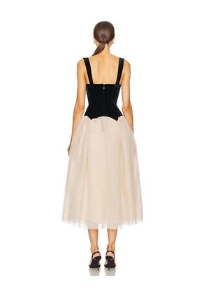 LPA Estella Midi Dress in Black,Cream. Size S. Also in XS, XXS.
