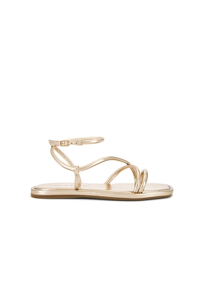 Loeffler Randall Noor Sandal in Metallic Gold. Size 10. Also in 6, 6.5, 7, 7.5, 8, 8.5, 9, 9.5, 5.