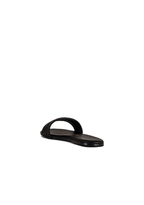TKEES Serena Sandal in Black. Size 7. Also in 6, 5.