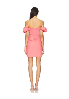 Steve Madden Bordeaux Dress in Pink. Size 2. Also in 0, 4, 6.