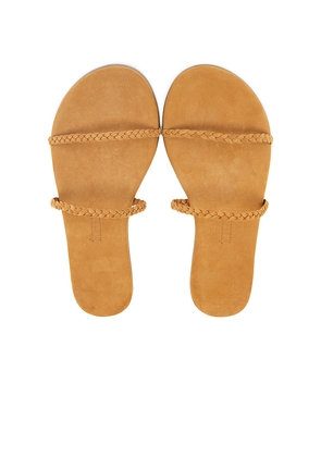 TKEES Gemma Braid Sandal in Tan. Size 8. Also in 7.