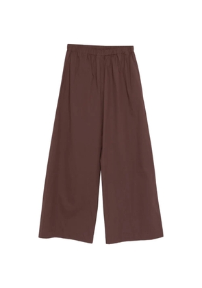 Antonelli elasticated trousers - Brown