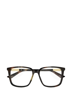 Chloé Eyewear CH0369O Havana - Brown