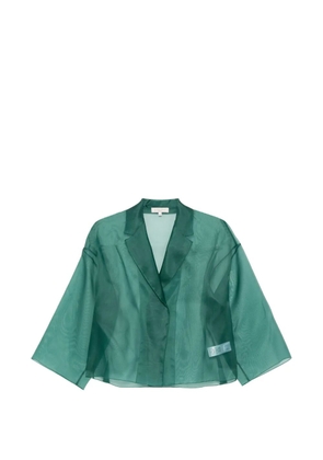 Antonelli Emma V-neck oversized jacket - Green