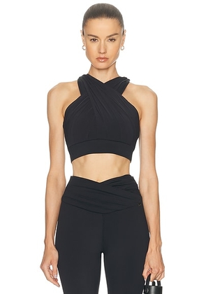 Goldbergh Drape Bra in Black - Black. Size L (also in M, S, XS).