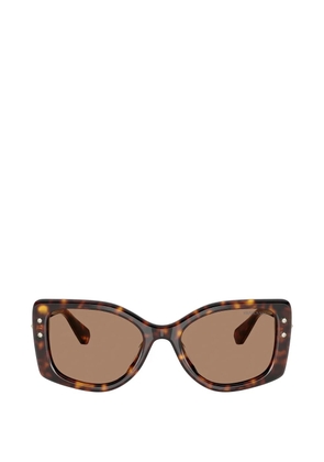 Swarovski Eyewear crystal-embellished sunglasses - Brown