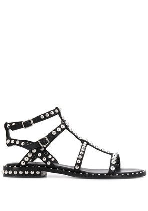 Ash Precious studded sandals - Black