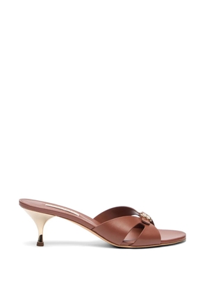 Casadei Julia buckle-upper leather heeled sandals - Brown