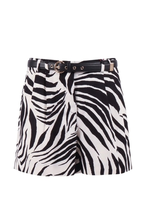 Max Mara zebra-print novella shorts - White