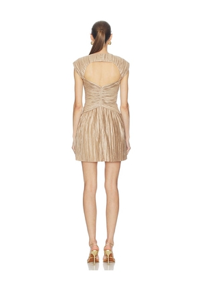 Cult Gaia Andromeda Dress in Beige. Size 0. Also in 10, 2, 4, 6, 8.