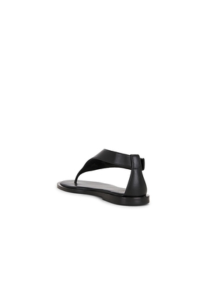 BALMAIN Anthem Thong Sandal in Black. Size 36. Also in 37, 38, 39, 40.