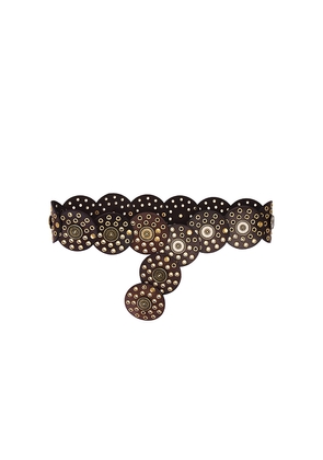 Tularosa Rhapsody Disc Belt in Brown. Size M/L. Also in S/M.