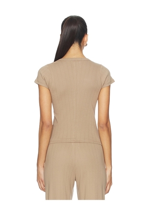 VIR VITA Pointelle Scoop Tee in Brown. Size XS. Also in S, M, L, XL.