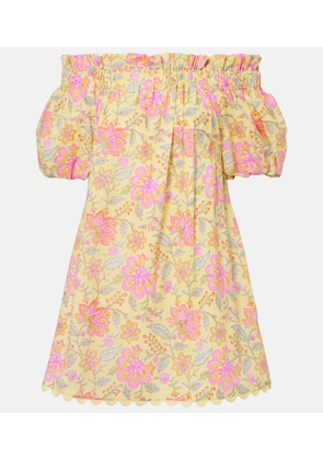 Juliet Dunn Floral off-shoulder cotton minidress