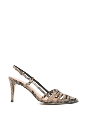 The Seller python-print leather pumps - Neutrals