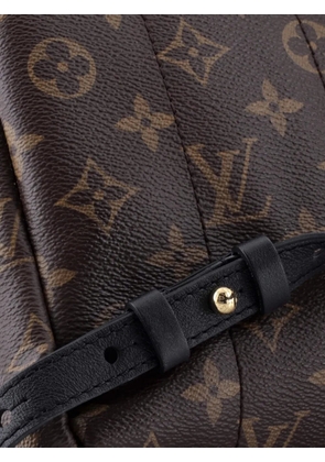 Louis Vuitton Pre-Owned Palm Springs Monogram Canvas PM backpack - Brown