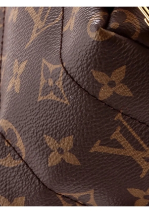 Louis Vuitton Pre-Owned Palm Springs Monogram Canvas Mini backpack - Brown