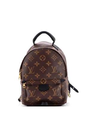 Louis Vuitton Pre-Owned Palm Springs Monogram Canvas Mini backpack - Brown