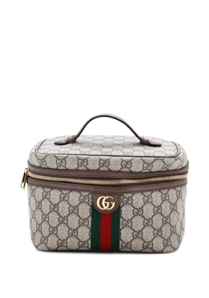 Gucci Pre-Owned Ophidia Top Handle Cosmetic Case GG Coated Canvas Small pouch - Brown