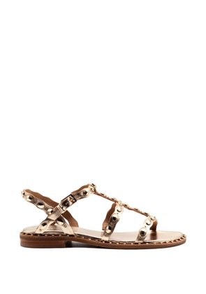 Ash Plus studded strap sandals - Gold
