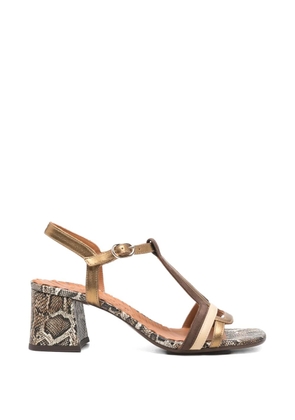 Chie Mihara T-strap snakeskin sandals - Gold