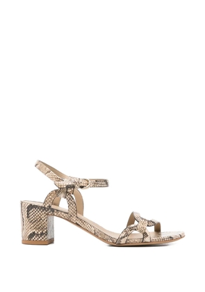 Del Carlo printed snakeskin knot sandals - Neutrals