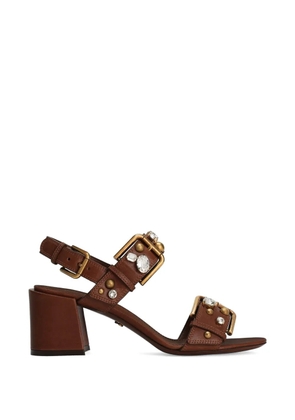 Dolce & Gabbana cowhide Keira sandals with embellishments - Brown