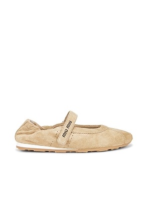 Miu Miu Plume Sneaker in Deserto - Brown. Size 41 (also in ).