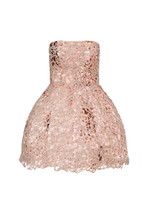 Francesca Miranda Peony Embroidered Silk Blend Mini Dress - Moda Operandi