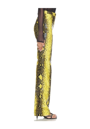 CULTNAKED Killa Pant in Yellow. Size L. Also in XXS.