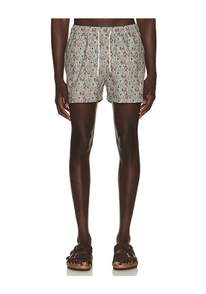 Edmmond Studios Wildlife Swim Shorts in Brown. Size L. Also in M, S, XL/1X.