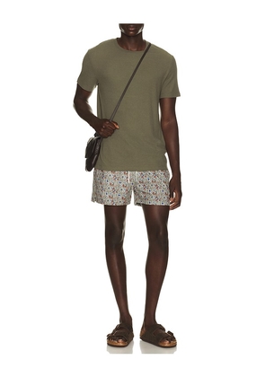 Edmmond Studios Wildlife Swim Shorts in Brown. Size L. Also in M, S, XL/1X.