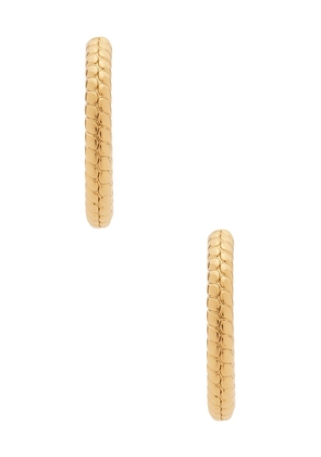 Jennifer Fisher Madison Huggie Earrings in Metallic Gold.