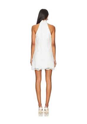 LIKELY Tallie Dress in White. Size 12. Also in 10.