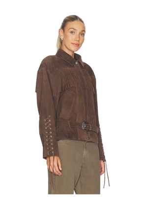 LAMARQUE Kyel Suede Jacket in Brown. Size L. Also in S, XS, M, XL.