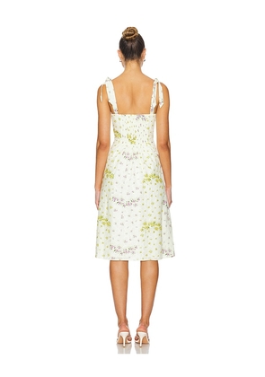 Steve Madden Carlynn Dress in Ivory. Size 10. Also in 12, 2, 4.