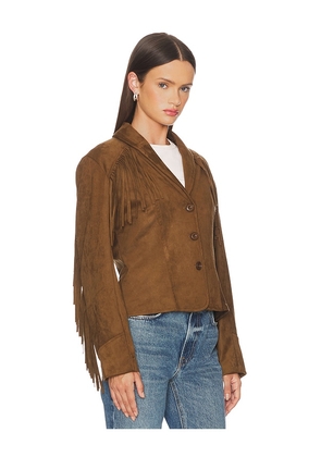 Steve Madden Dallas Jacket in Brown. Size XL. Also in XS.
